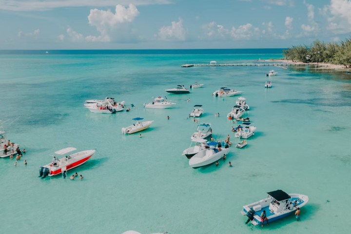 a group of people swimming in a body of water